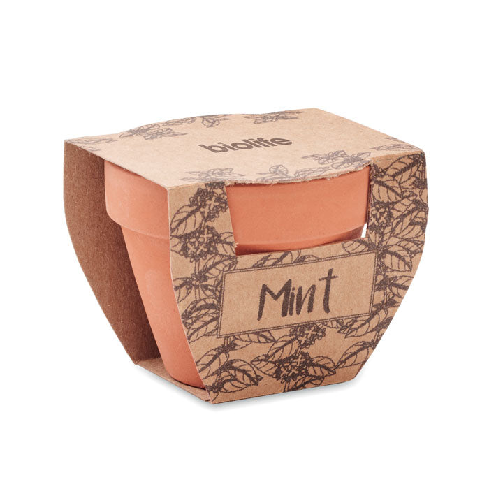Branded Terracotta Pot with Mint Seeds