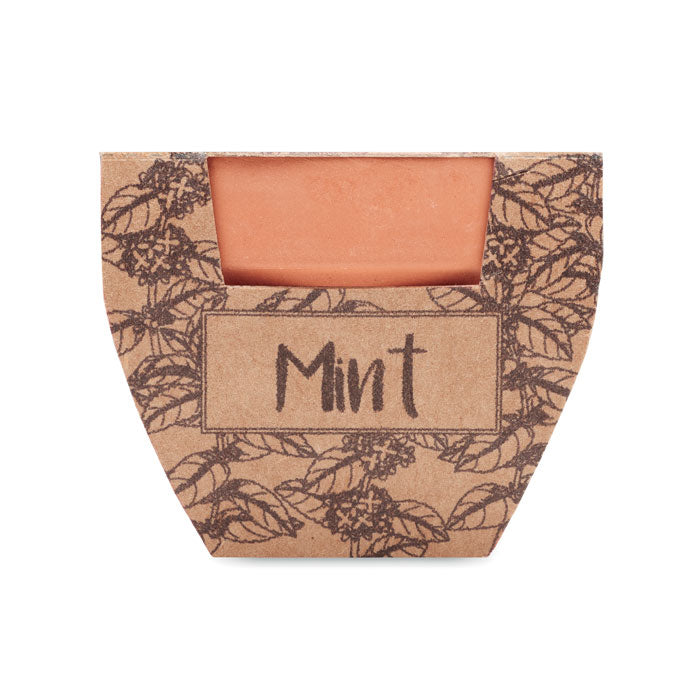 Branded Terracotta Pot with Mint Seeds without branding
