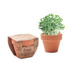 Branded Terracotta Pot with Cress Seeds without branding