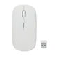 Wireless Optical Mouse