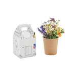 Branded Kids House Shaped Seed Grow Set without branding