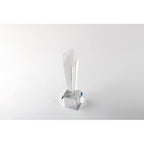 Branded Crystal Trophy