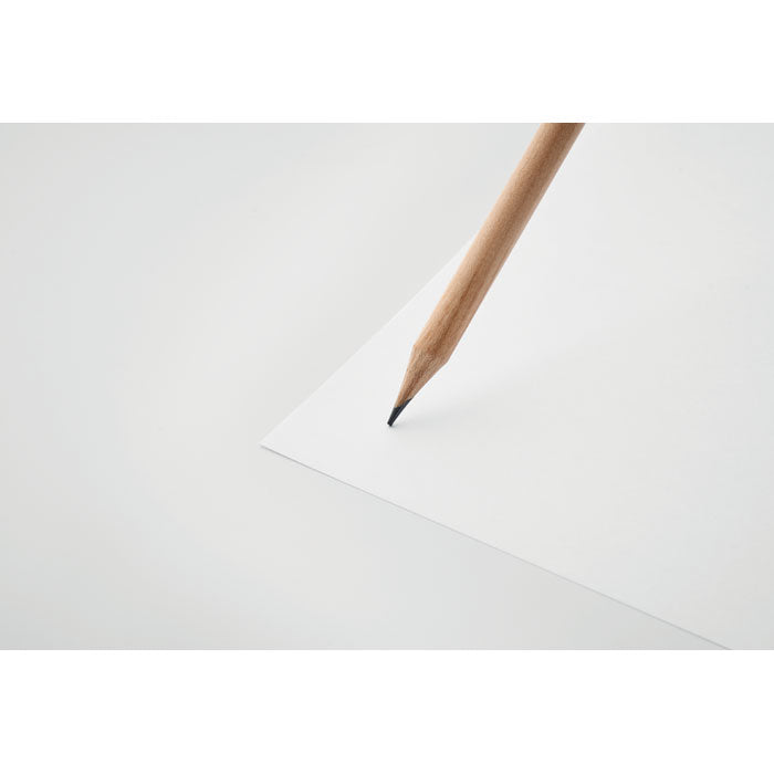Branded Wood and Seed Paper Pencil