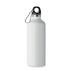 Branded vacuum bottle with carabiner handle