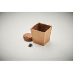 Branded Mint Seeds Growing Kit in Peat Pot without branding