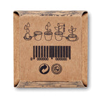 Branded Mint Seeds Growing Kit in Peat Pot without branding