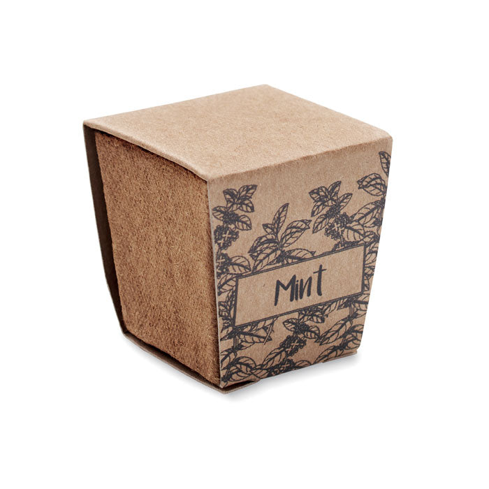 Branded Mint Seeds Growing Kit in Peat Pot without branding