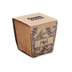Branded Mint Seeds Growing Kit in Peat Pot