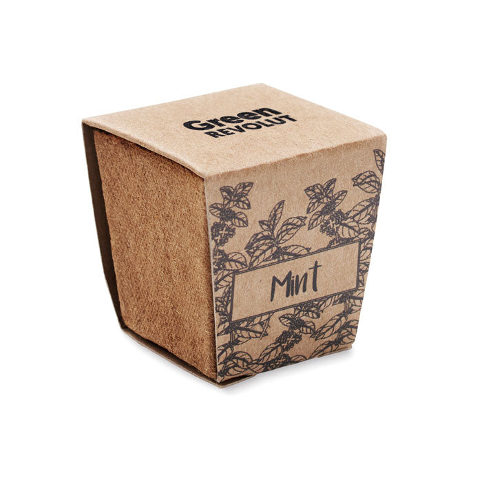 Branded Mint Seeds Growing Kit in Peat Pot