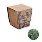 Branded Mint Seeds Growing Kit in Peat Pot without branding