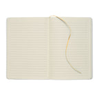 Metallic Notebooks