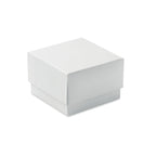 Branded Glass Cube Award without branding