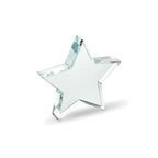 Branded Glass Star Award without branding
