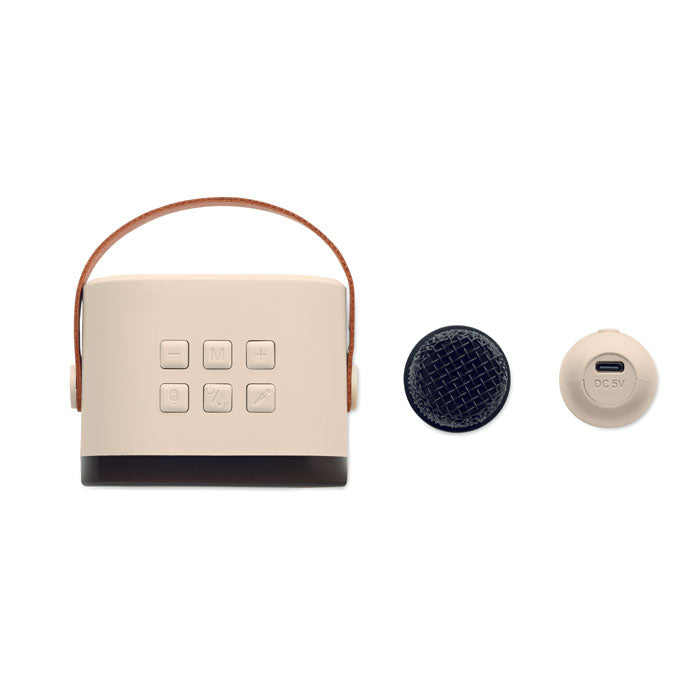 Branded Karaoke Speaker Set without branding
