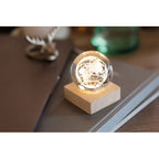 Branded Globe Glass Ball with LED Light in use