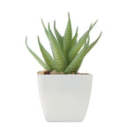 Branded Mini Artificial Aloe Plant without branding