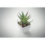 Branded Mini Artificial Aloe Plant without branding