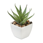 Branded Mini Artificial Aloe Plant