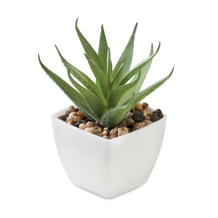 Branded Mini Artificial Aloe Plant