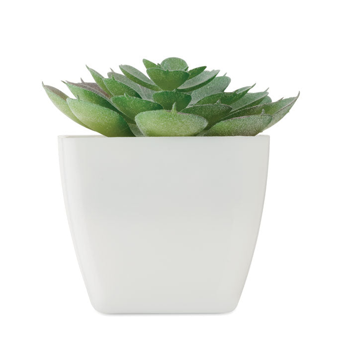 Branded Mini Artificial Echeveria Plant without branding