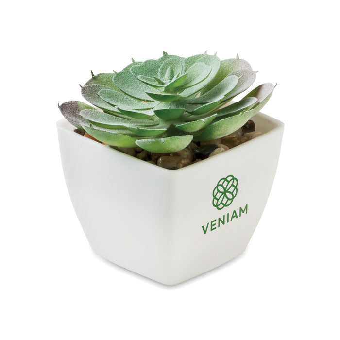 Branded Mini Artificial Echeveria Plant