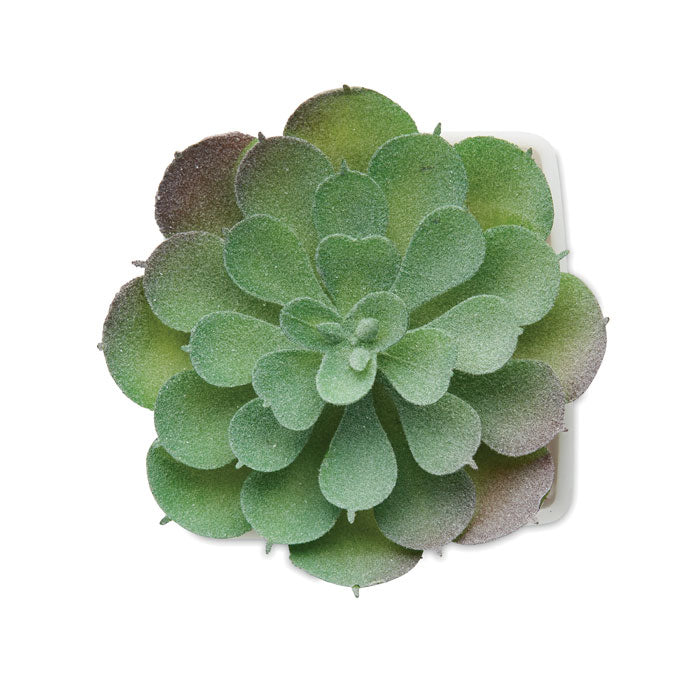 Branded Mini Artificial Echeveria Plant without branding