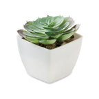 Branded Mini Artificial Echeveria Plant