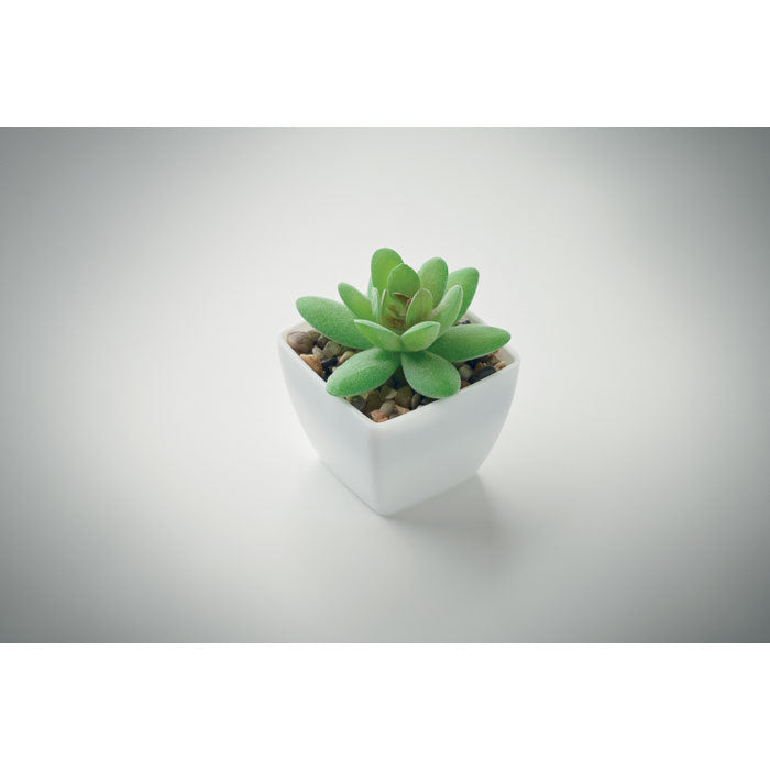 Branded Mini Artificial Graptopetalum Plant without branding