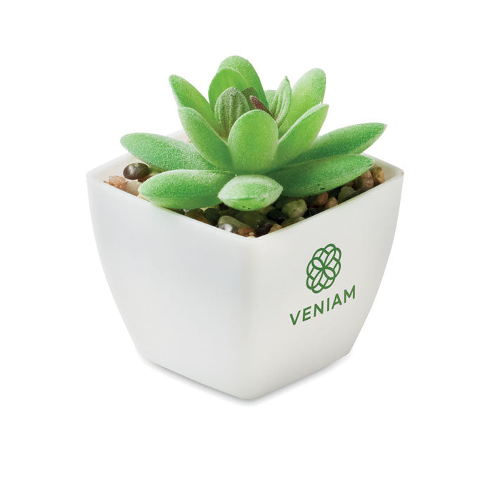 Branded Mini Artificial Graptopetalum Plant