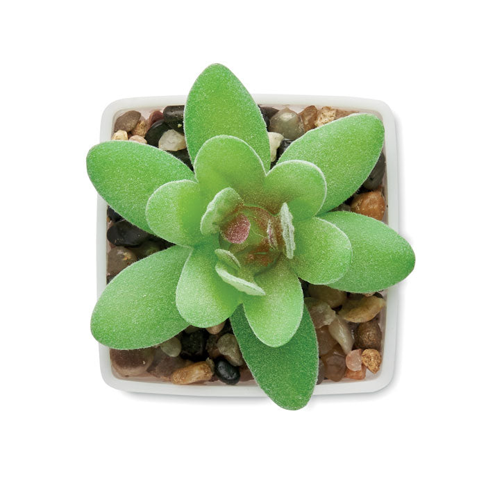Branded Mini Artificial Graptopetalum Plant without branding