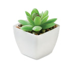 Branded Mini Artificial Graptopetalum Plant