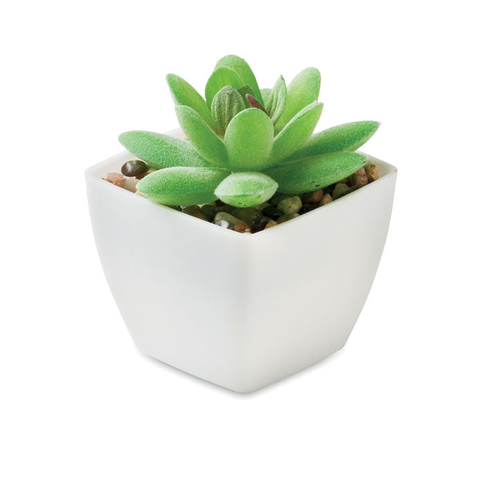 Branded Mini Artificial Graptopetalum Plant