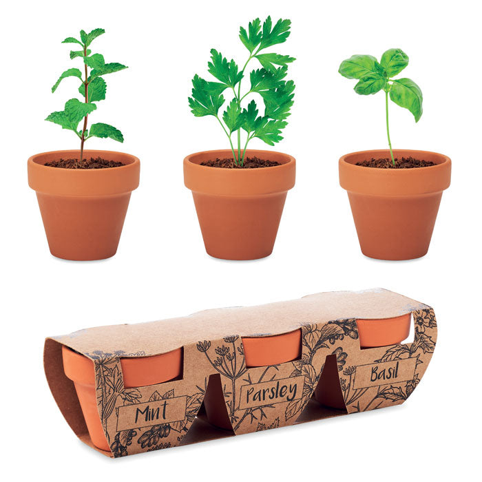 Branded Terracotta 3 Herb Pot Set without branding