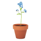 Branded Terracotta Pot with Forget-Me-Not Seeds without branding