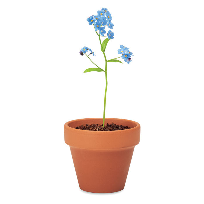 Branded Terracotta Pot with Forget-Me-Not Seeds without branding