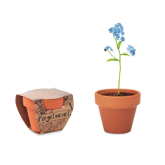 Branded Terracotta Pot with Forget-Me-Not Seeds without branding