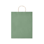 Branded Paper Gift Bag without branding