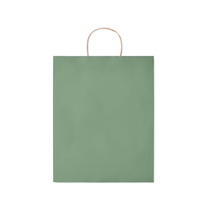 Branded Paper Gift Bag without branding