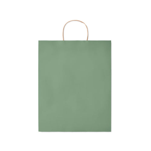 Branded Paper Gift Bag without branding