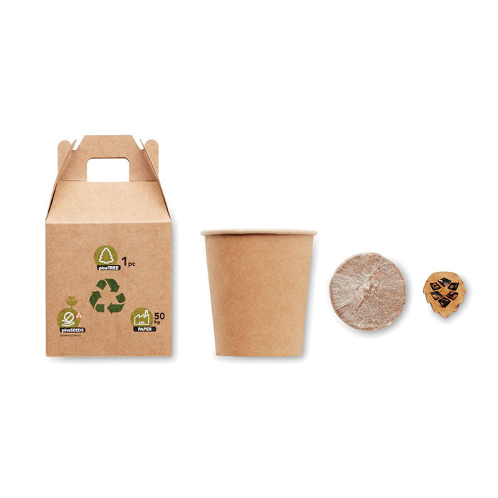 Branded Grow your Own Pine Tree