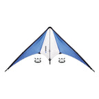 Branded Delta Kite