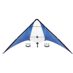 Branded Delta Kite without branding