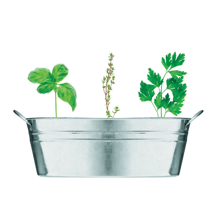 Branded Zinc Tub with 3 Herb Seeds without branding