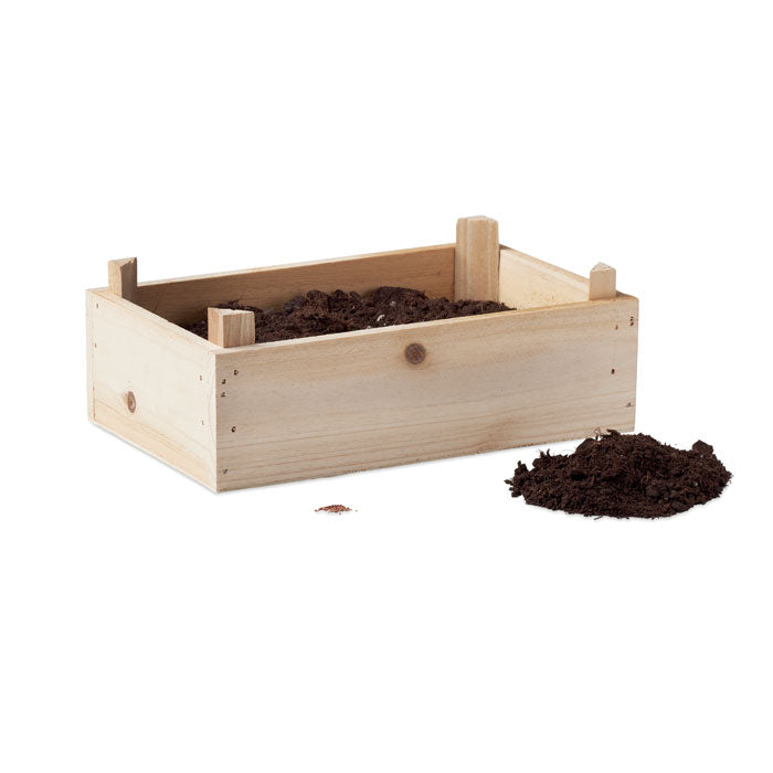 Branded Strawberry Growing Kit in Wooden Crate without branding