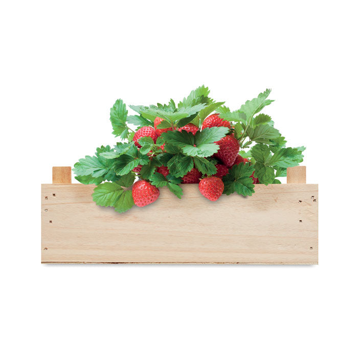 Branded Strawberry Growing Kit in Wooden Crate without branding