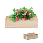 Branded Strawberry Growing Kit in Wooden Crate without branding