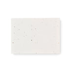 Seed Paper Memo Set without branding