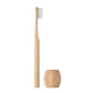 Bamboo Toothbrush with Stand