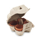 Branded Egg Carton Cress Growing Kit without branding
