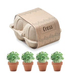 Branded Egg Carton Cress Growing Kit without branding